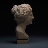 Sculpture en bois de la tête de Vénus – Art en hêtre européen fait main
