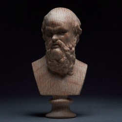 Socrates Wooden Head Sculpture – Handcrafted Beechwood Art Piece
