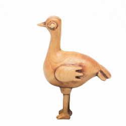 Miniature Kiwi Wood Carving｜18mm Boxwood Art Sculpture with Glass Dome